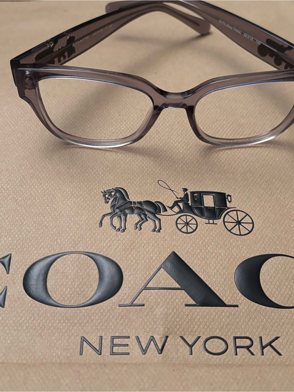 Coach Reading Glasses in Smoky Taupe